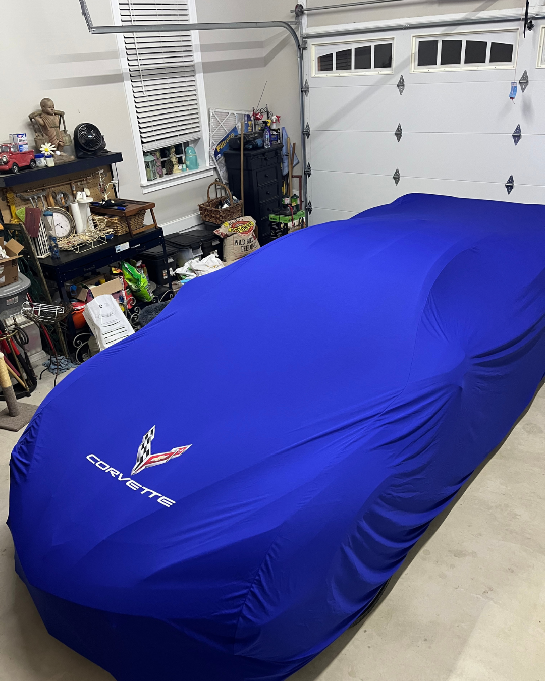 Shield Your Car from Dust & Scratches